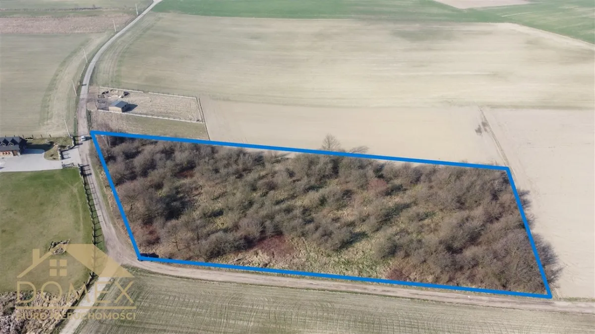 Działka 7500 m² — Gaszowice, Czernica - zdjecie 3