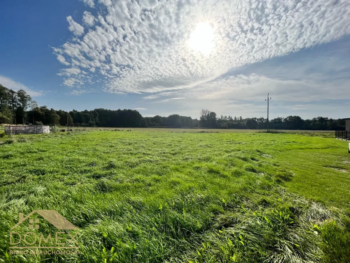 Działka 1250 m² — Godów, Skrzyszów - zdjecie 2