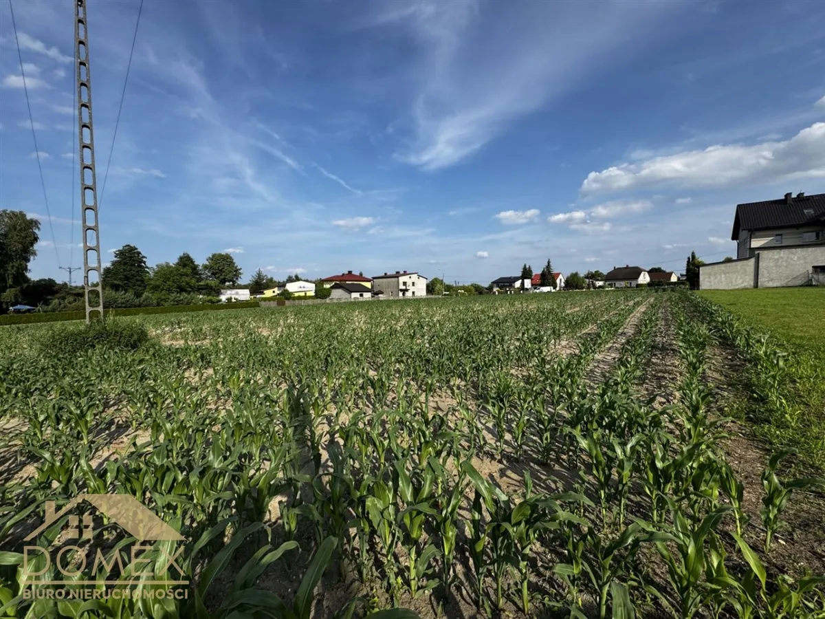 Działka 5988 m² — Gorzyce - zdjecie 2