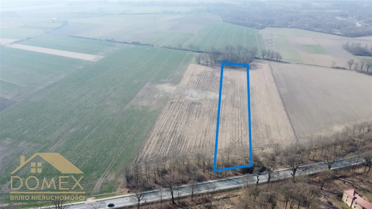 Działka 17000 m² — Gorzyce - zdjecie 2