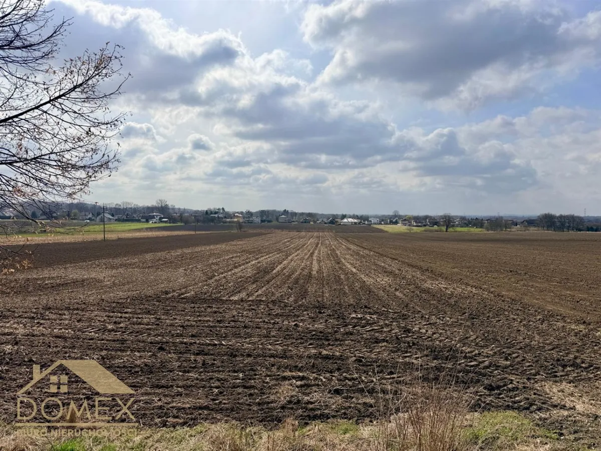 Działka 10730 m² — Gorzyce, Bełsznica - zdjecie 2