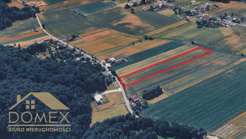 Działka 10730 m² — Gorzyce, Bełsznica - zdjecie 3