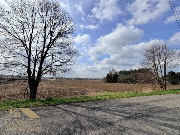 Działka 10730 m² — Gorzyce, Bełsznica