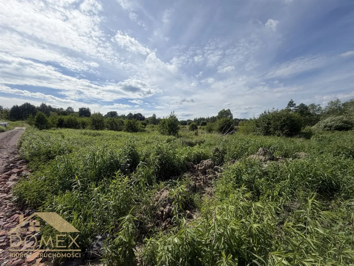 Działka 763 m² — Gorzyce, Czyżowice - zdjecie 2