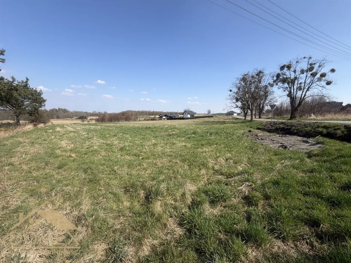 Działka 4869 m² — Kornowac, Łańce - zdjecie 3