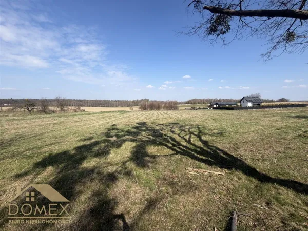 Działka 4869 m² — Kornowac, Łańce