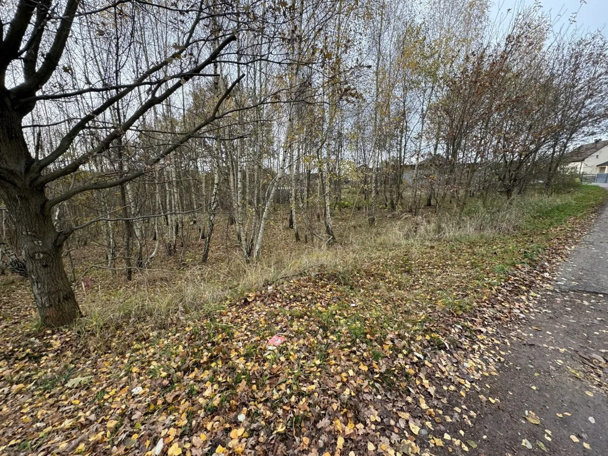 Działka 1260 m² — Mszana - zdjecie 2