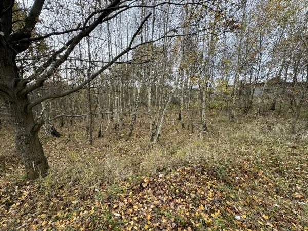 Działka 1260 m² — Mszana