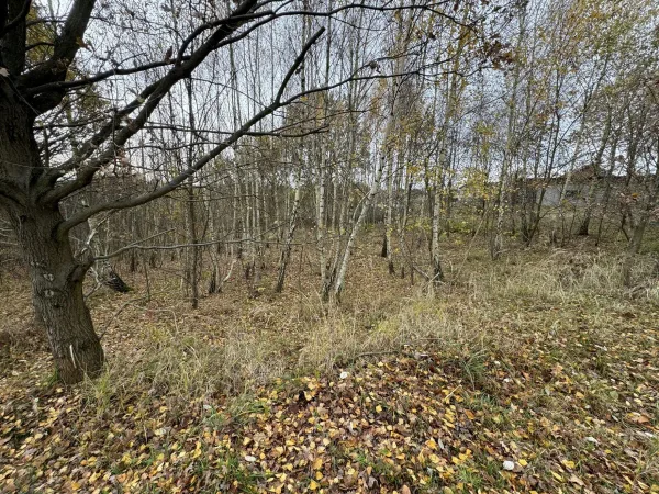 Działka 1110 m² — Mszana