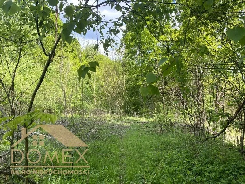 Działka 6670 m² — Rybnik, Popielów - zdjecie 2