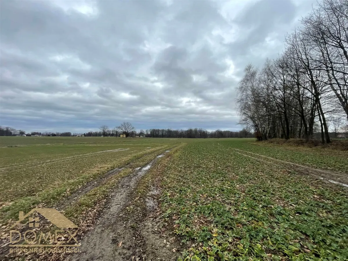 Działka 6500 m² — Strumień (gw), Zabłocie - zdjecie 3