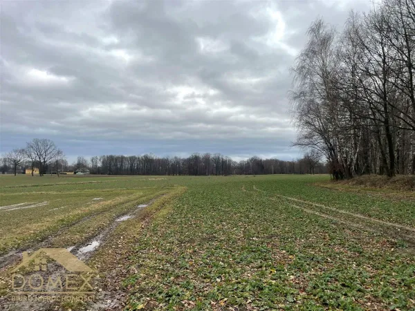 Działka 6500 m² — Strumień (gw), Zabłocie