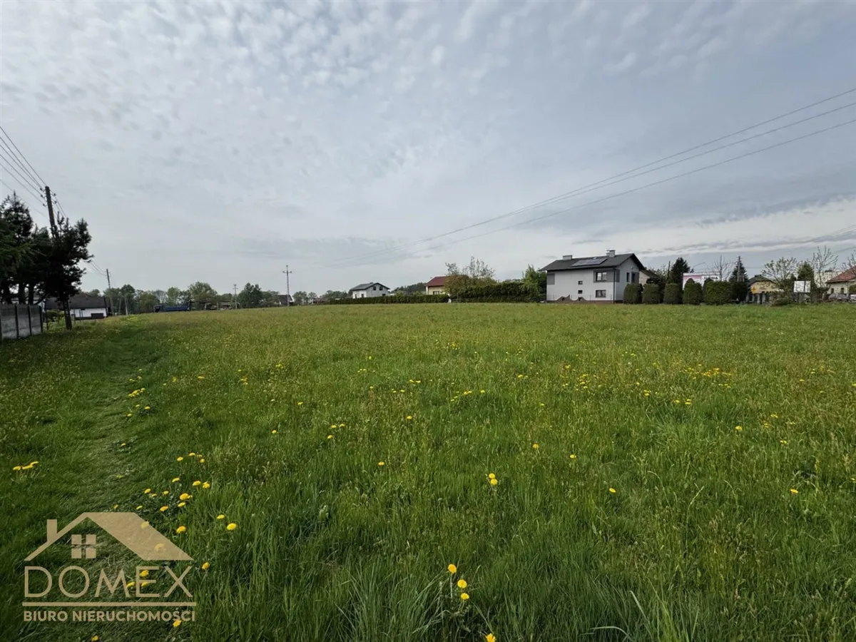 Działka 7530 m² — Wodzisław Śląski - zdjecie 2