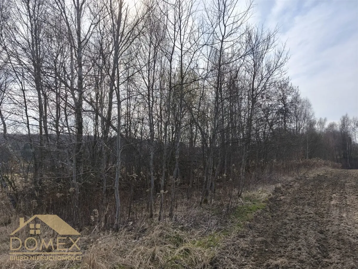 Działka 3467 m² — Wodzisław Śląski - zdjecie 3