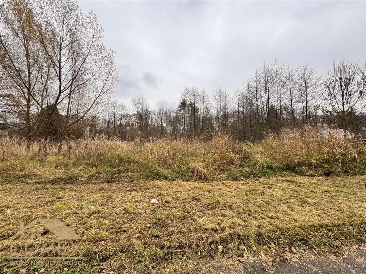 Działka 3775 m² — Wodzisław Śląski
