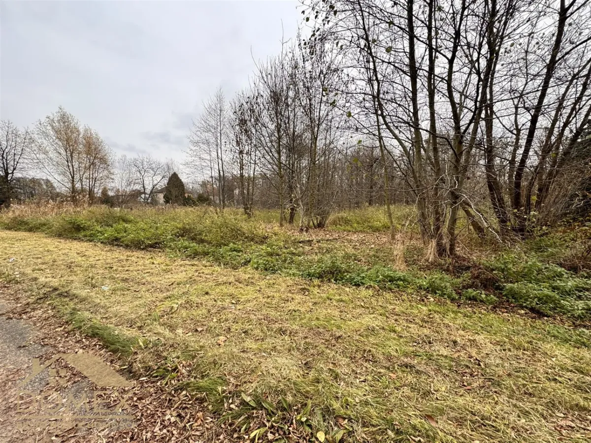 Działka 3775 m² — Wodzisław Śląski - zdjecie 2