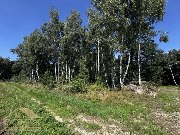 Działka 5429 m² — Wodzisław Śląski, Kokoszyce
