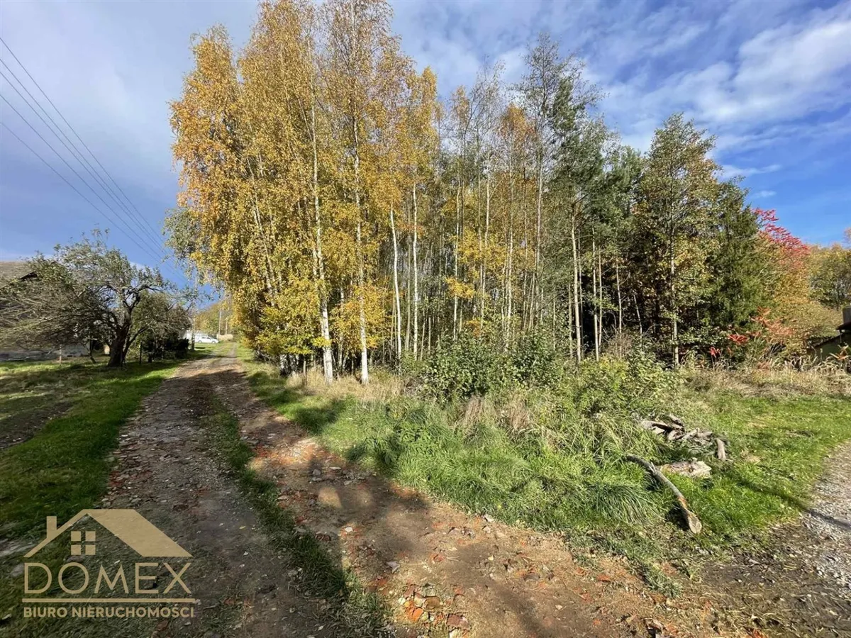 Działka 1089 m² — Zebrzydowice, Kończyce Małe - zdjecie 2