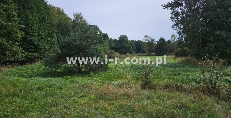 Działka 6820 m² — Łyski, Sumina