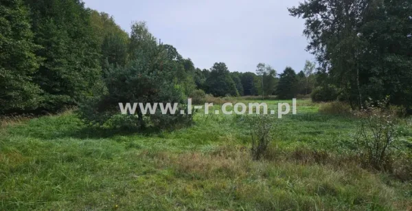 Działka 6820 m² — Łyski, Sumina