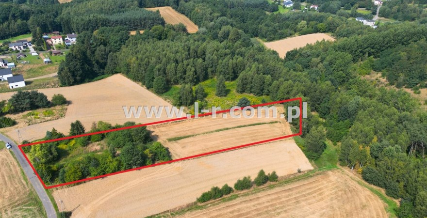 Działka 7524 m² — Mszana, Gogołowa