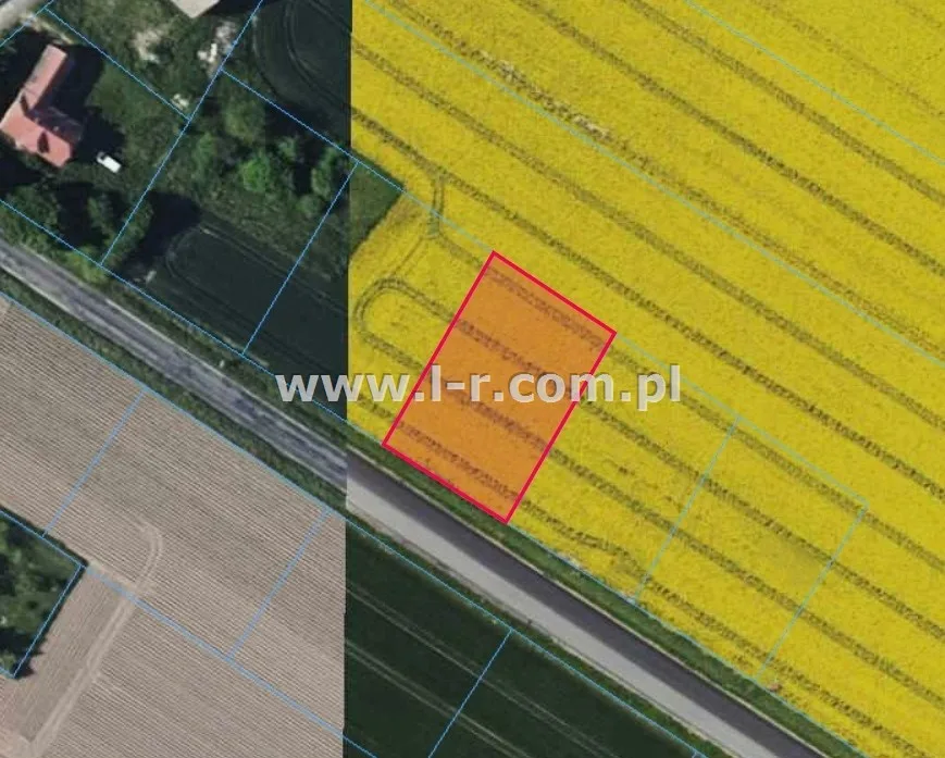 Działka 1214 m² - Pietrowice Wielkie, Cyprzanów - zdjecie 2