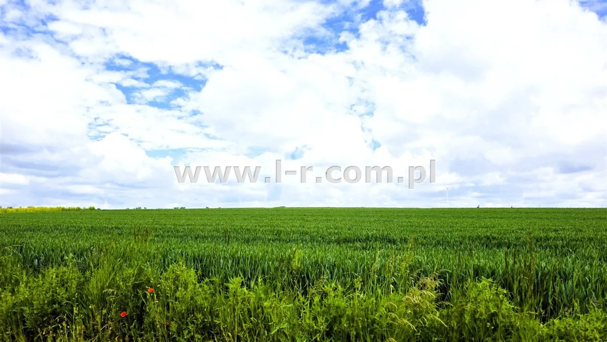 Działka 1209 m² — Pietrowice Wielkie, Cyprzanów - zdjecie 3