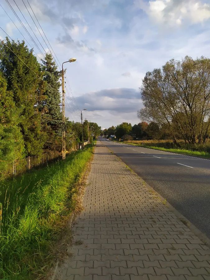 Działka 1856 m² — Tarnowskie Góry, Strzybnica - zdjecie 2