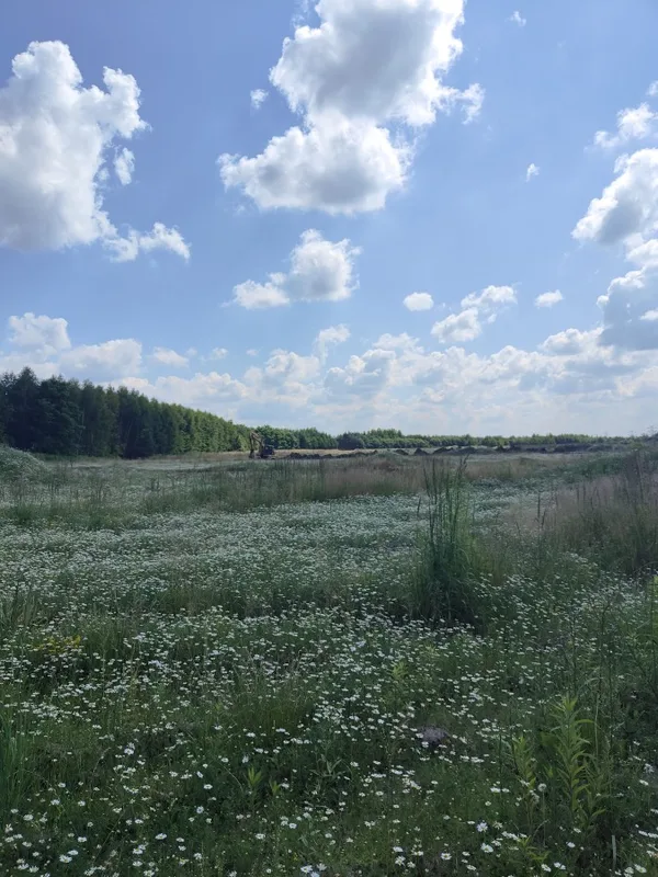 Działka 744 m² — Wieszowa, os. Wieszowa