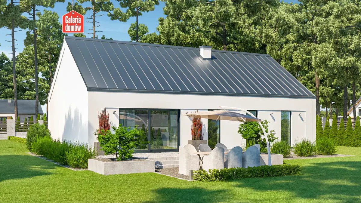 Wizualizacja domu przy Olchowej - zdjęcie 2