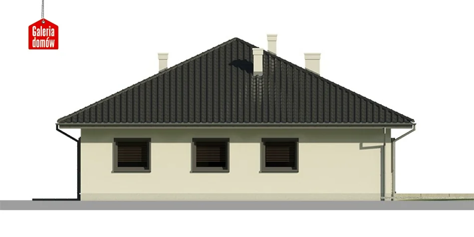 Elewacja boczna lewa