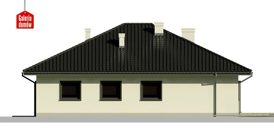 Elewacja boczna lewa