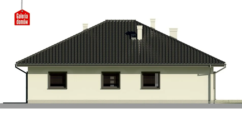 Elewacja boczna lewa