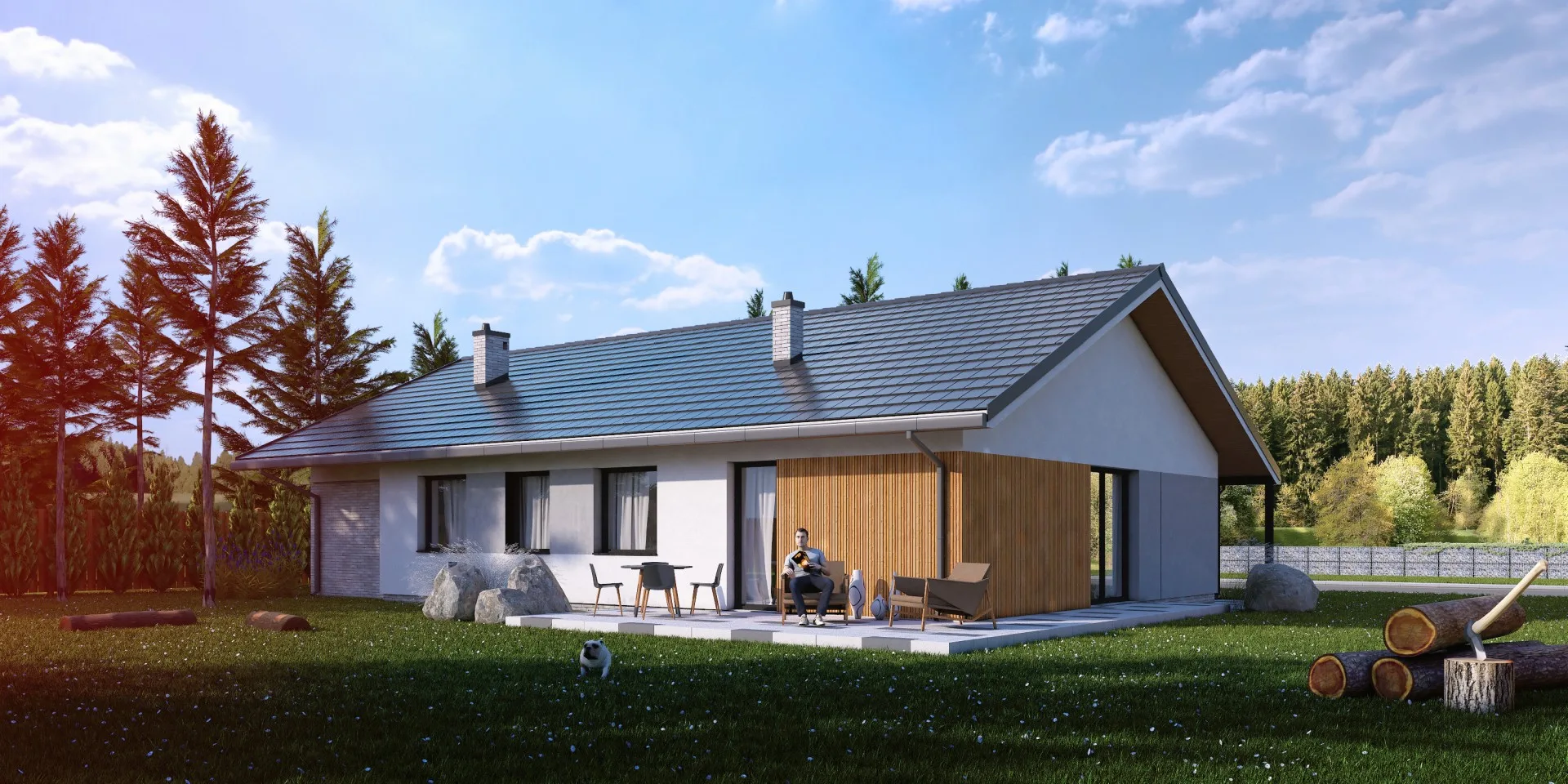 Wizualizacja projektu Angustus III G1 - zdjęcie 3