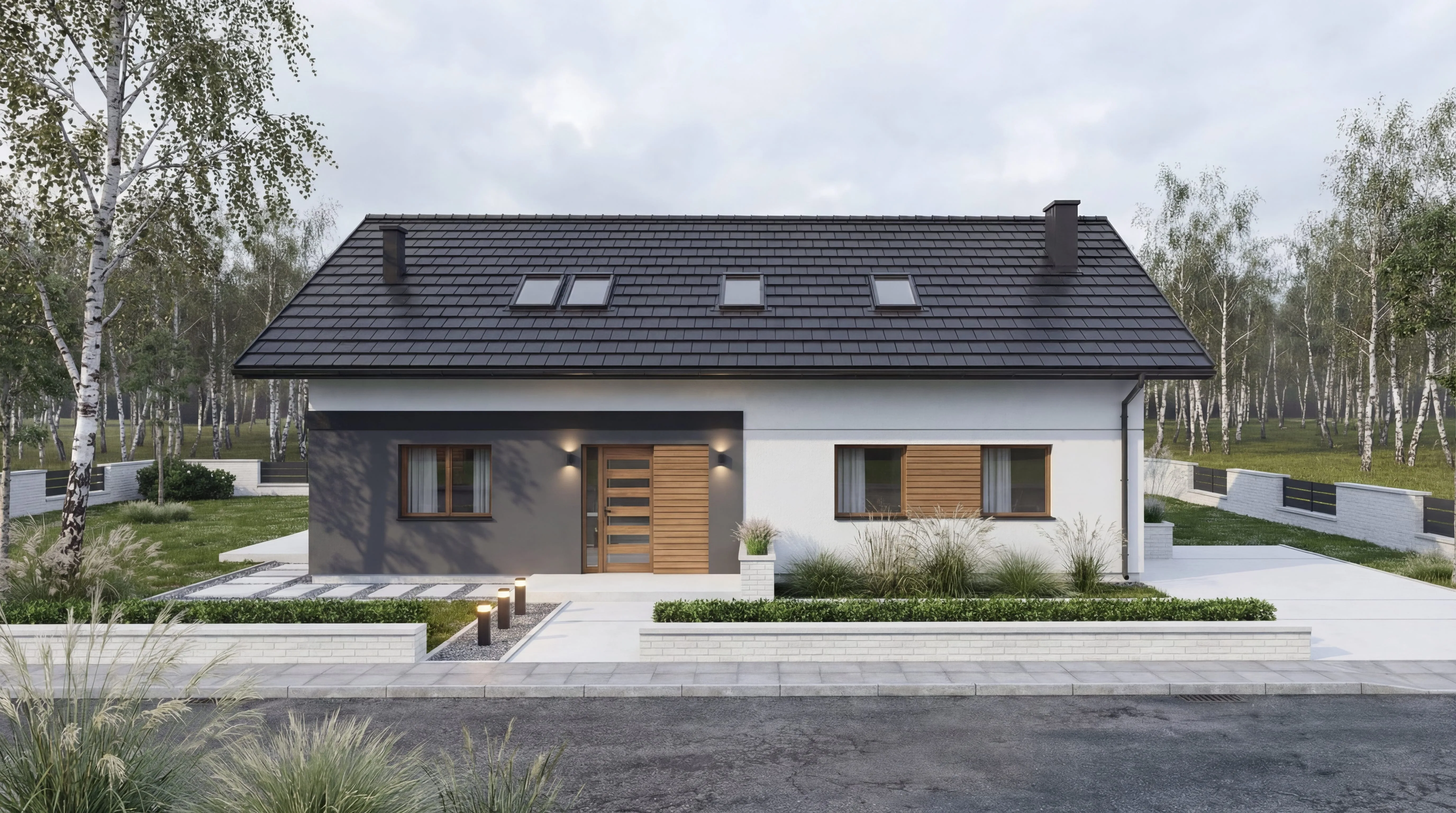 Wizualizacja projektu Rectus III - zdjęcie 2