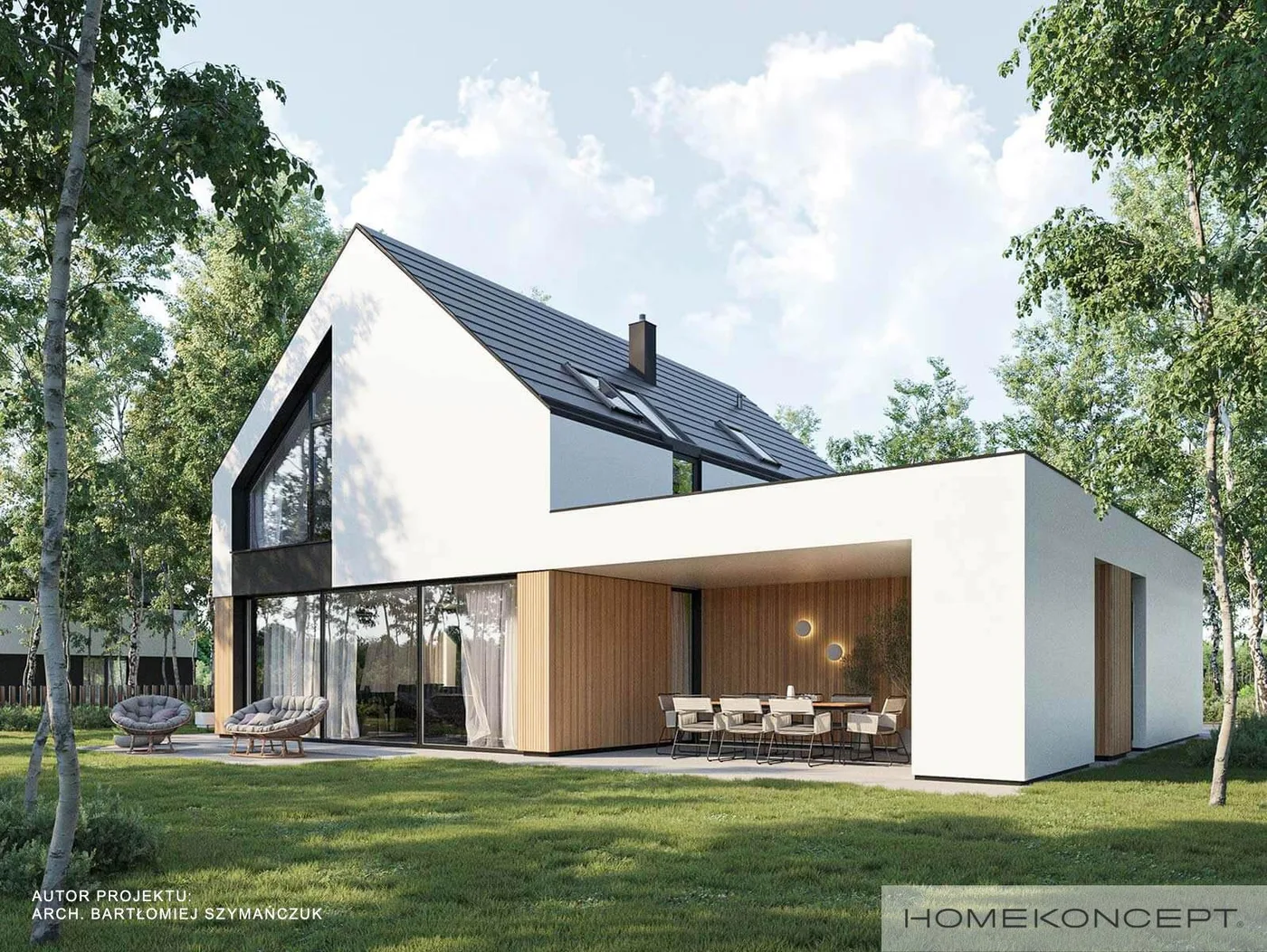 Wizualizacja HOMEKONCEPT 100 G1  - zdjęcie 2