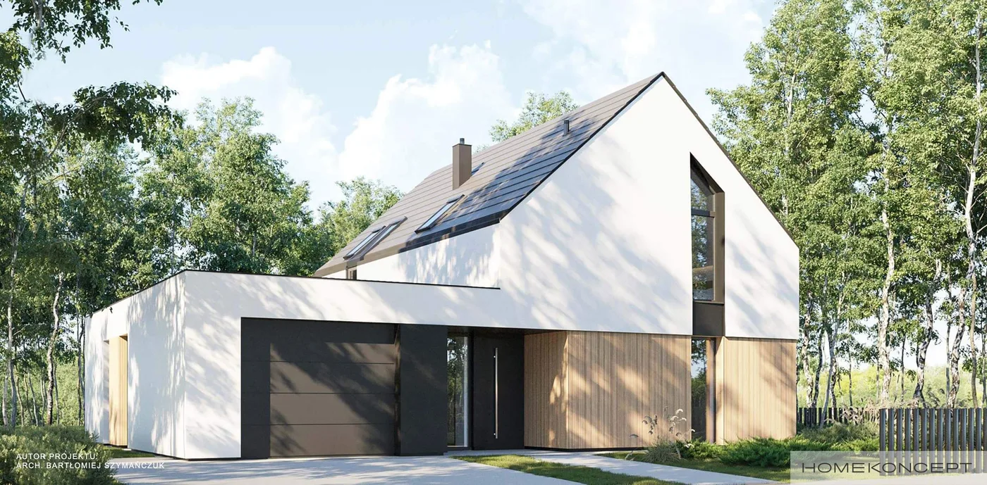 Wizualizacja HOMEKONCEPT 100 G1  - zdjęcie 3