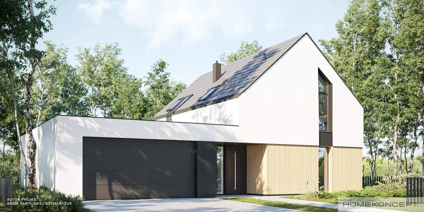 Wizualizacja HOMEKONCEPT 100 G2 - zdjęcie 3