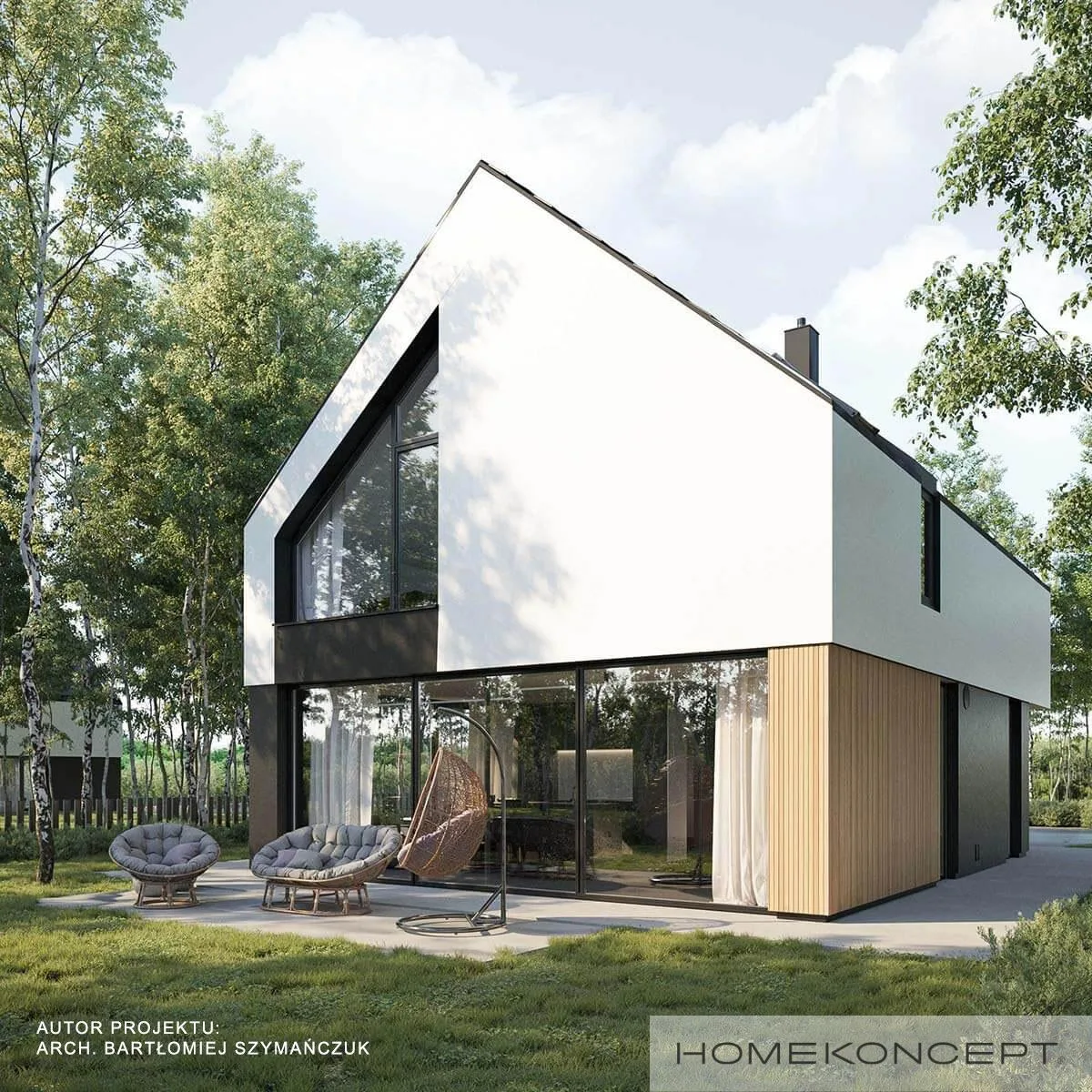Wizualizacja HOMEKONCEPT 100 - zdjęcie 2