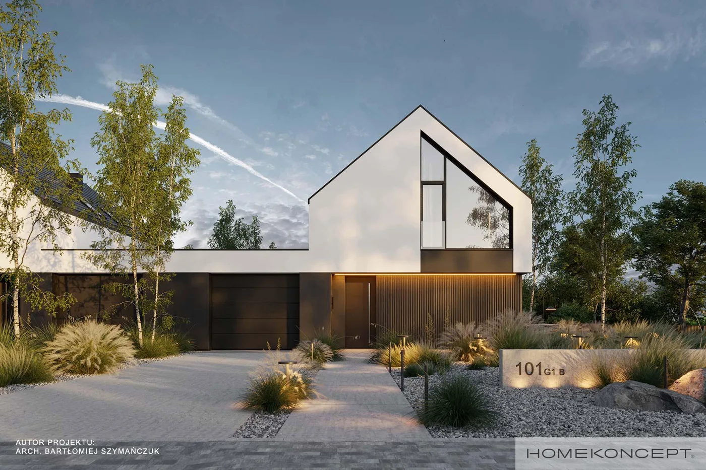 Wizualizacja HOMEKONCEPT 101 G1 B - zdjęcie 2