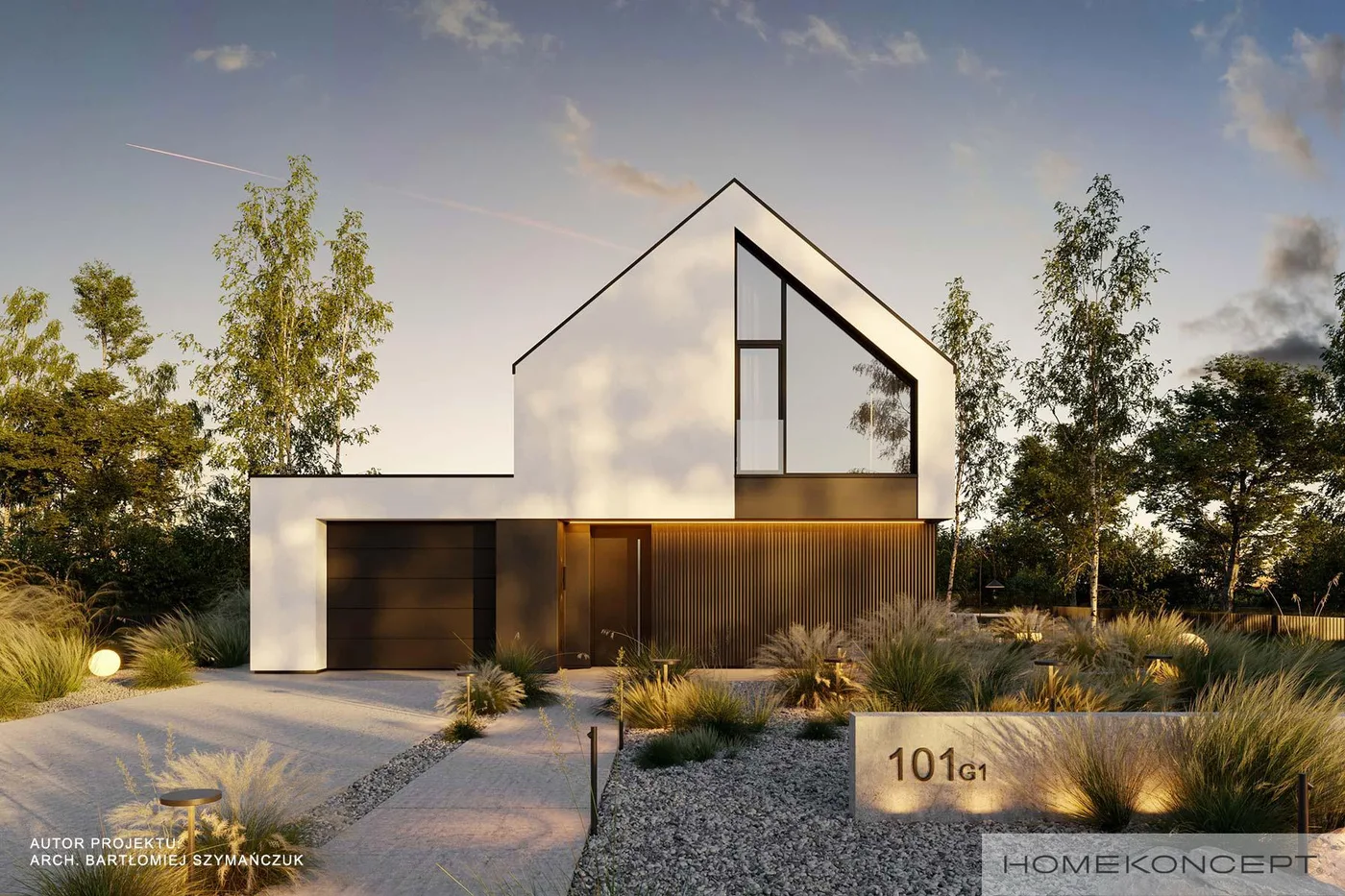 Wizualizacja HOMEKONCEPT 101 G1 - zdjęcie 3