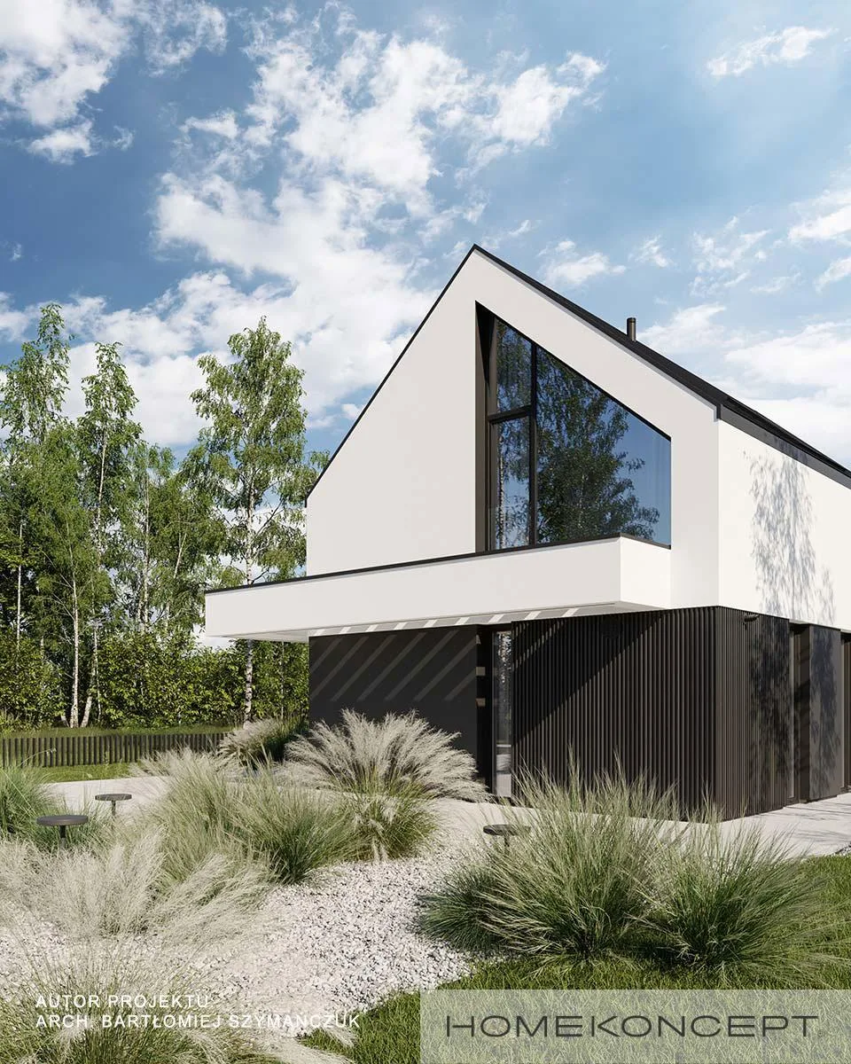 Wizualizacja HOMEKONCEPT 101 - zdjęcie 2