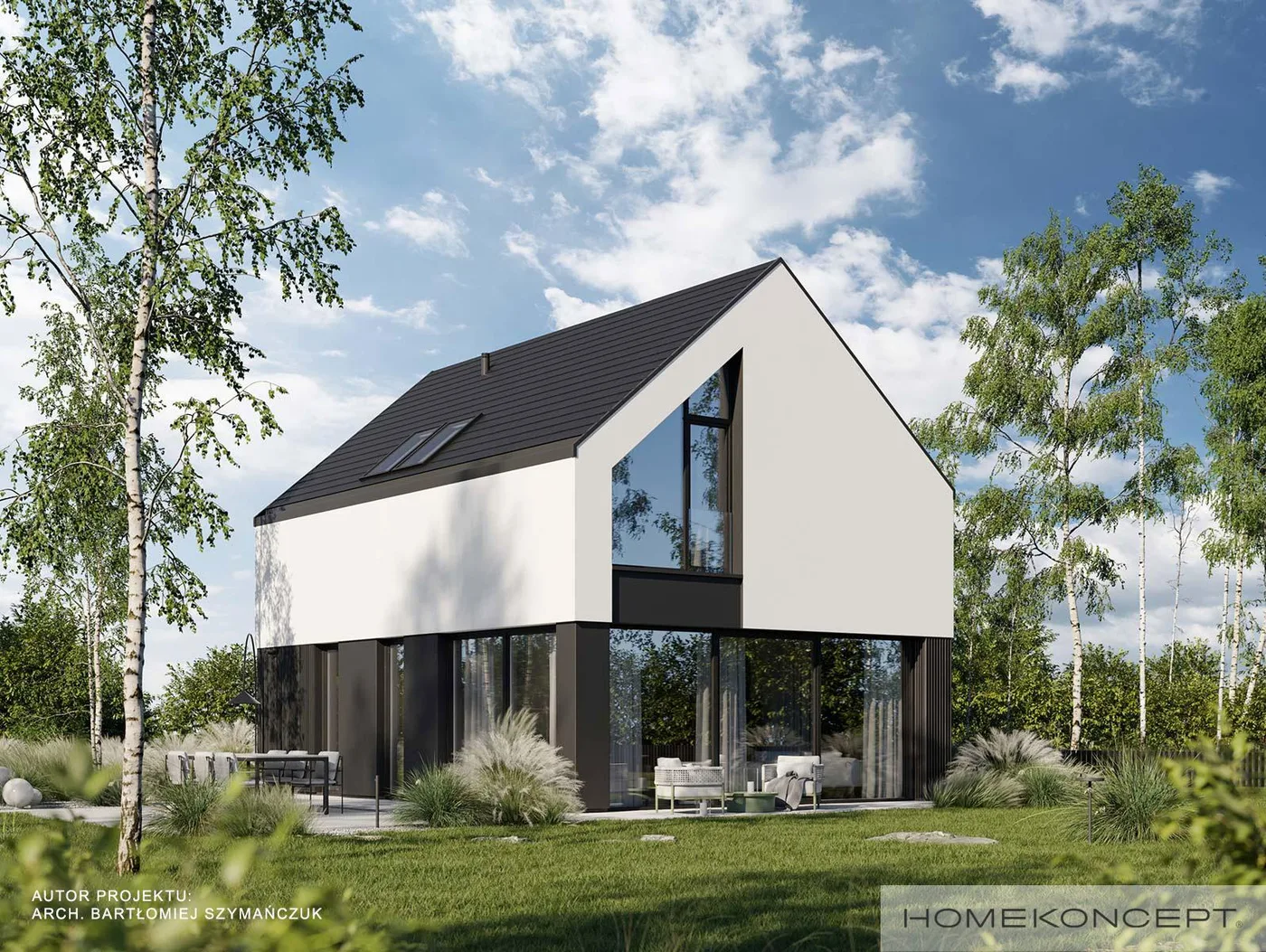 Wizualizacja HOMEKONCEPT 101 - zdjęcie 3