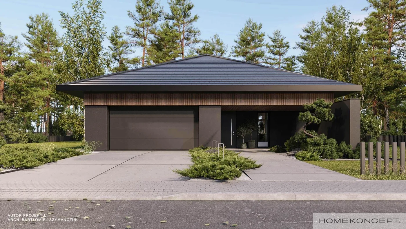 Wizualizacja HOMEKONCEPT 104 - zdjęcie 2