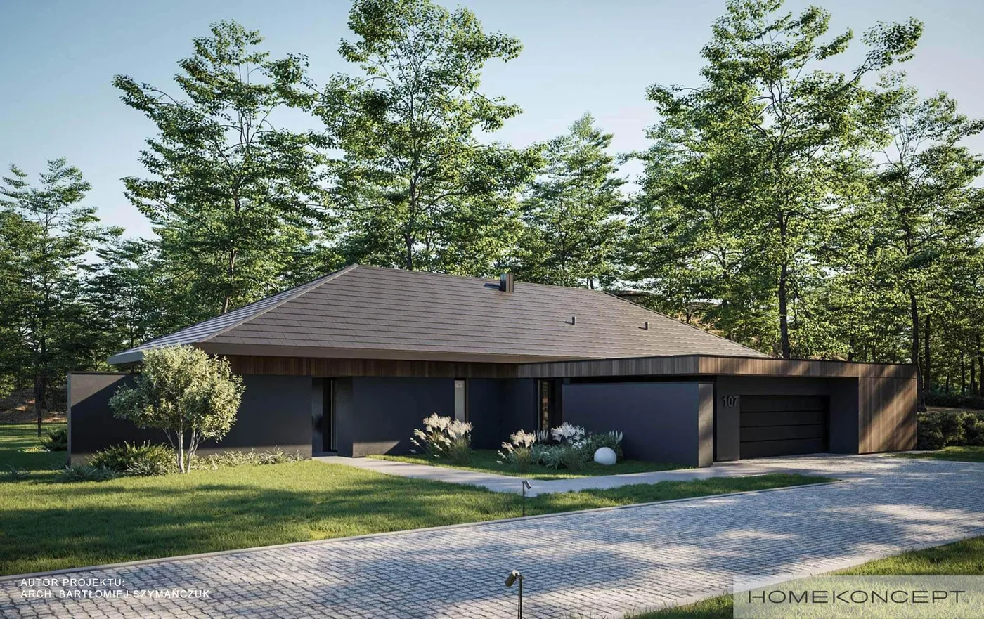 Wizualizacja HOMEKONCEPT 107 - zdjęcie 2
