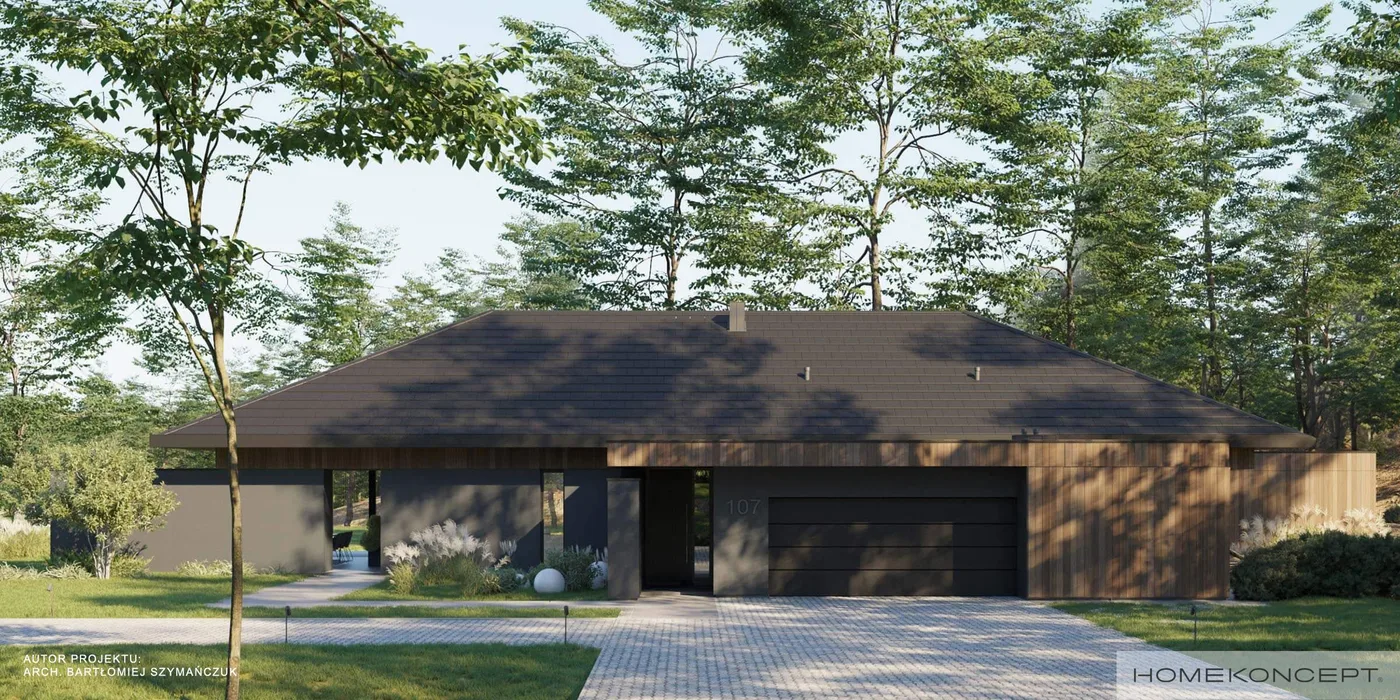 Wizualizacja HOMEKONCEPT 107 - zdjęcie 3