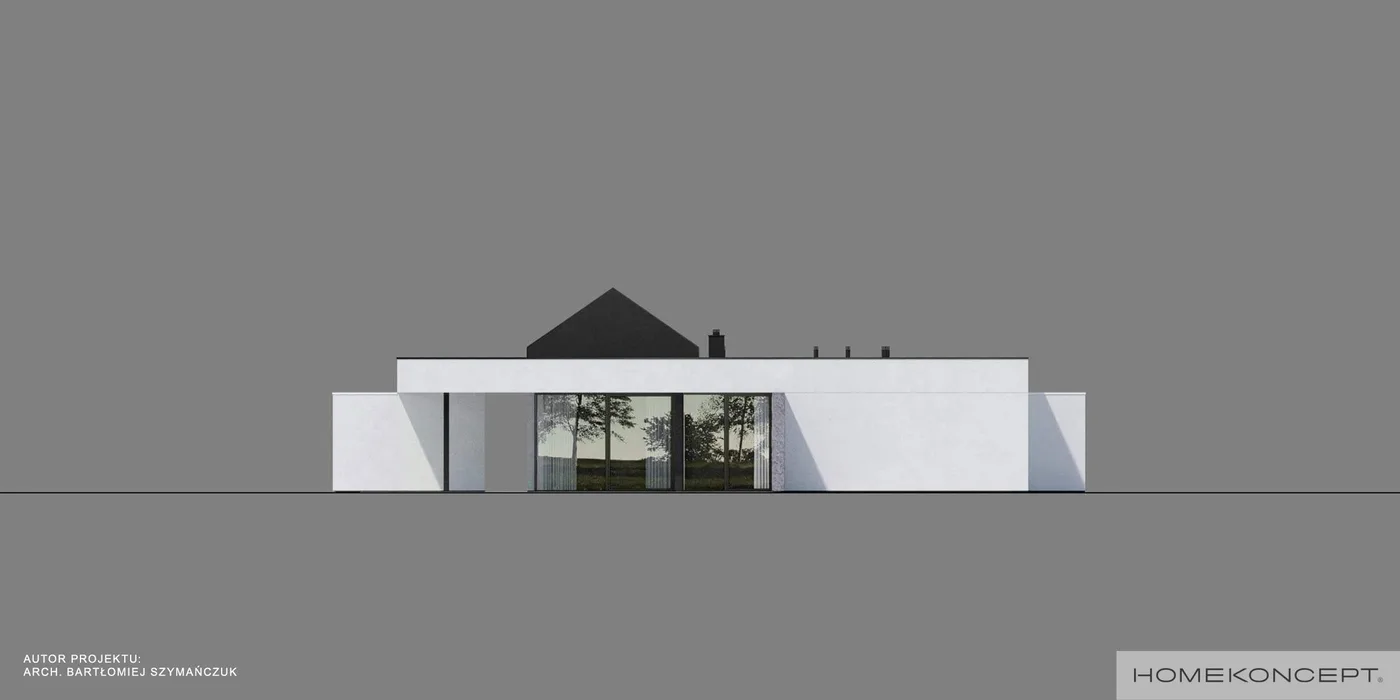 Elewacja boczna lewa