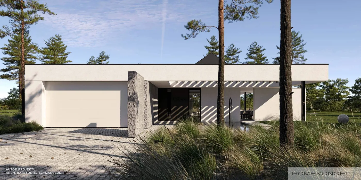 Wizualizacja HOMEKONCEPT 112 G2 wariant 01 - zdjęcie 2