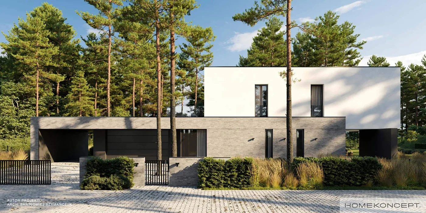 Wizualizacja HOMEKONCEPT 113 wariant 02 - zdjęcie 2