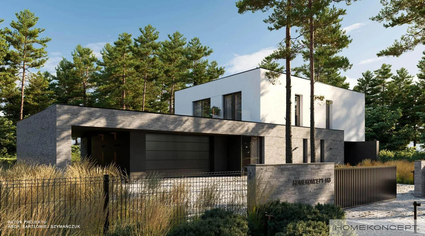 Wizualizacja HOMEKONCEPT 113 wariant 02 - zdjęcie 3